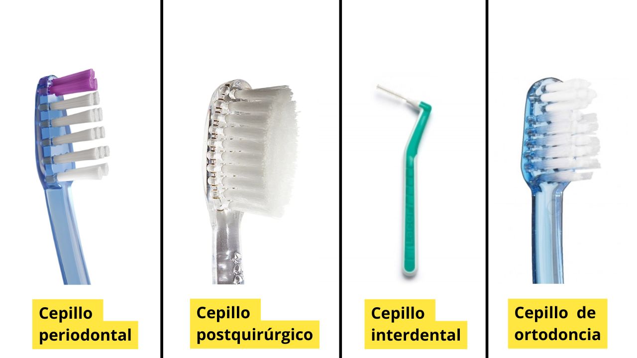 Cepillos dentales según su uso